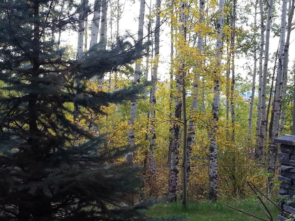 Pinnacle Inn & Suites Aspen Calgary Luaran gambar